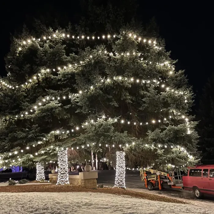 Christmas Light Installation work in Arvada CO