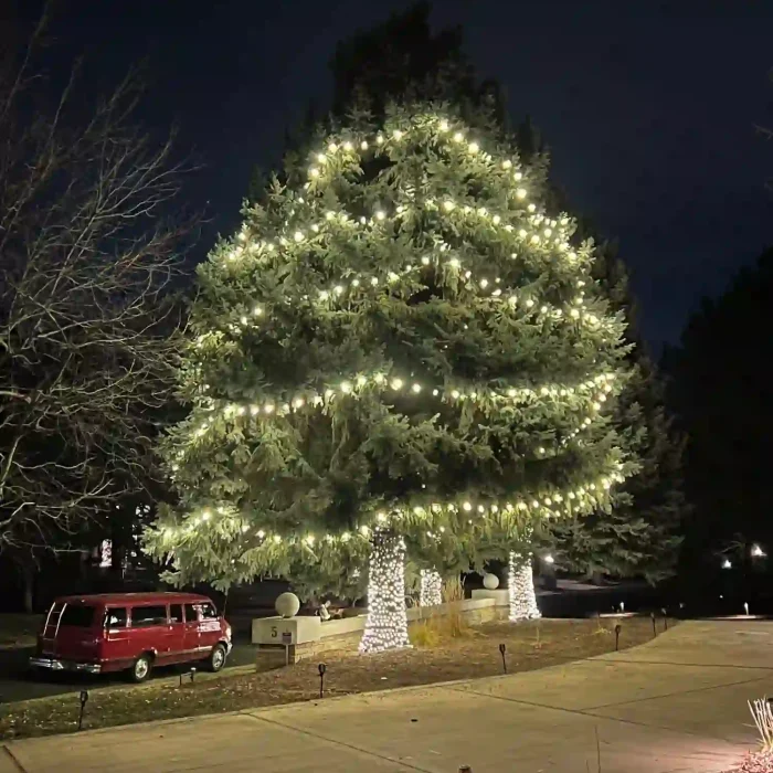 Christmas Light Installation work in Thornton CO